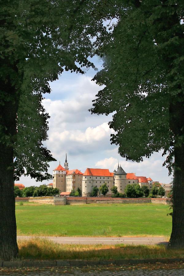 Hotel-Pension Zum Markt Torgau Dış mekan fotoğraf