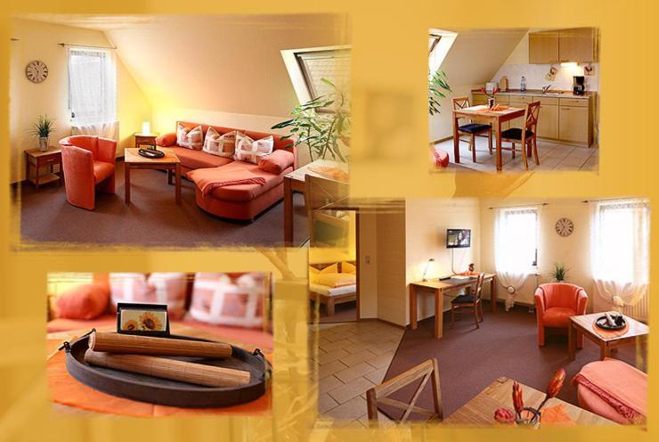 Hotel-Pension Zum Markt Torgau Dış mekan fotoğraf